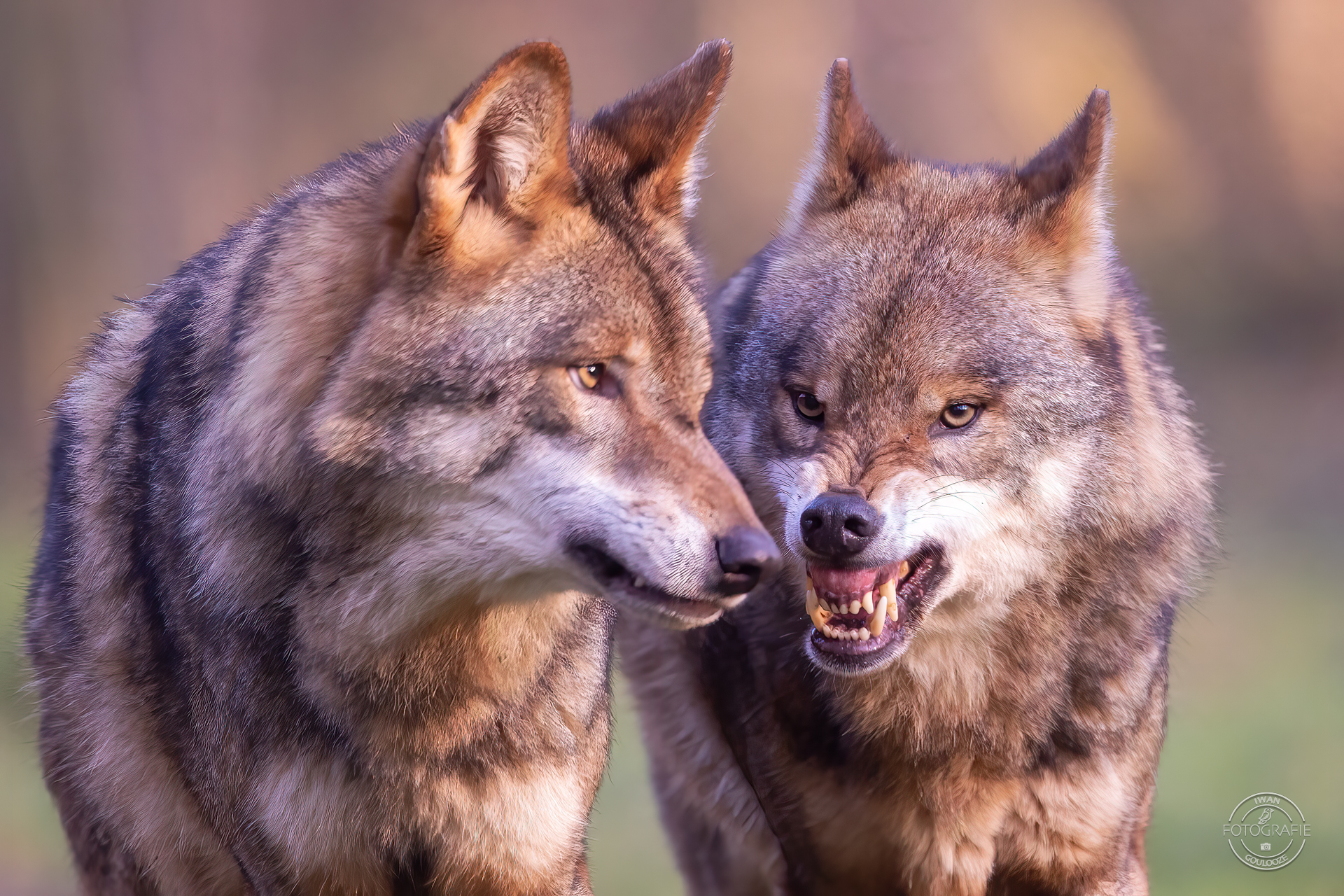 28 januari 2023 163808 1R2A8271 bewerkt